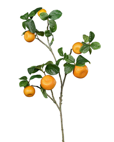 Mű mandarinfa ág.