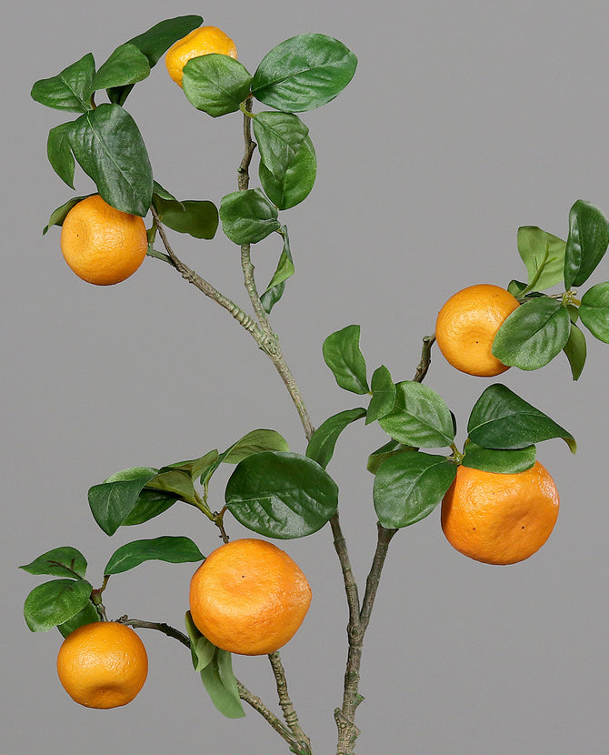 Mű mandarinfa ág.