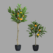 Fekete műanyag kaspóba helyezett, mandarinfa műnövény.