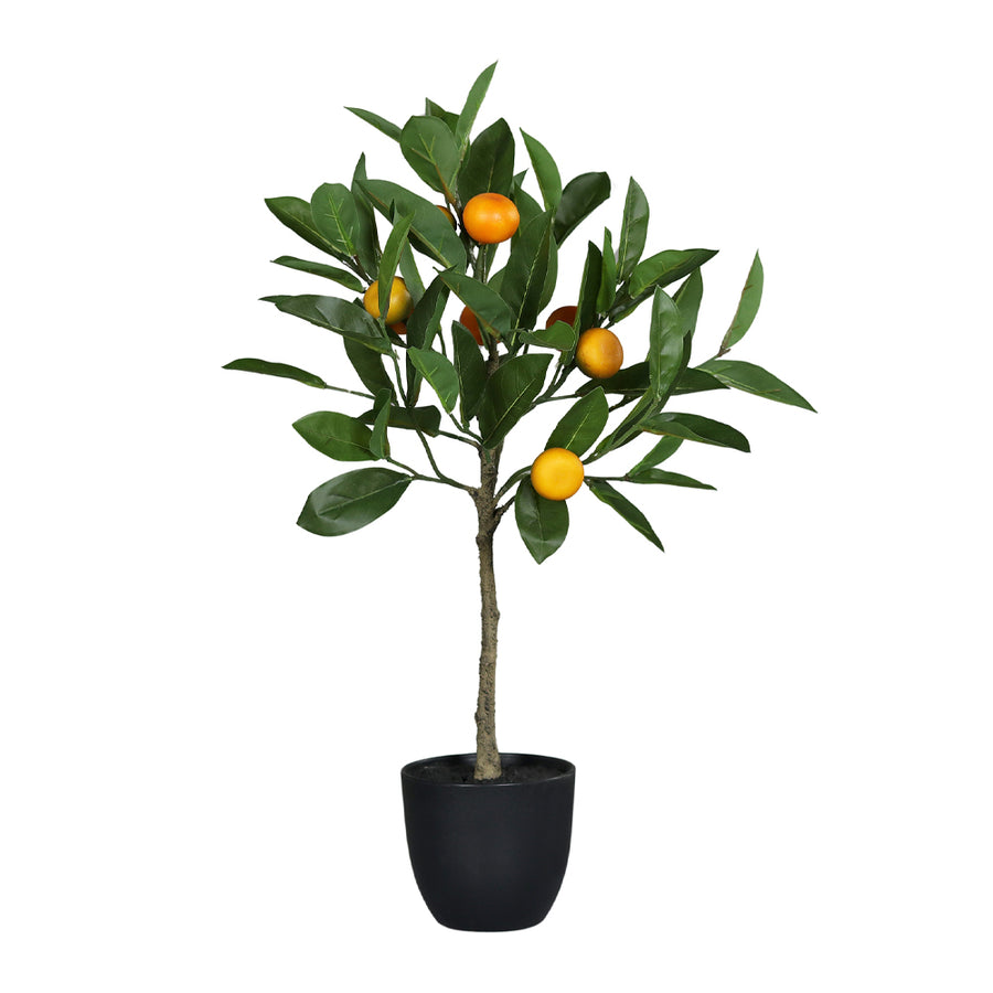 Fekete műanyag kaspóba helyezett, mandarinfa műnövény.
