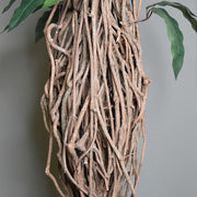 Cserepes mangófa műnövény.