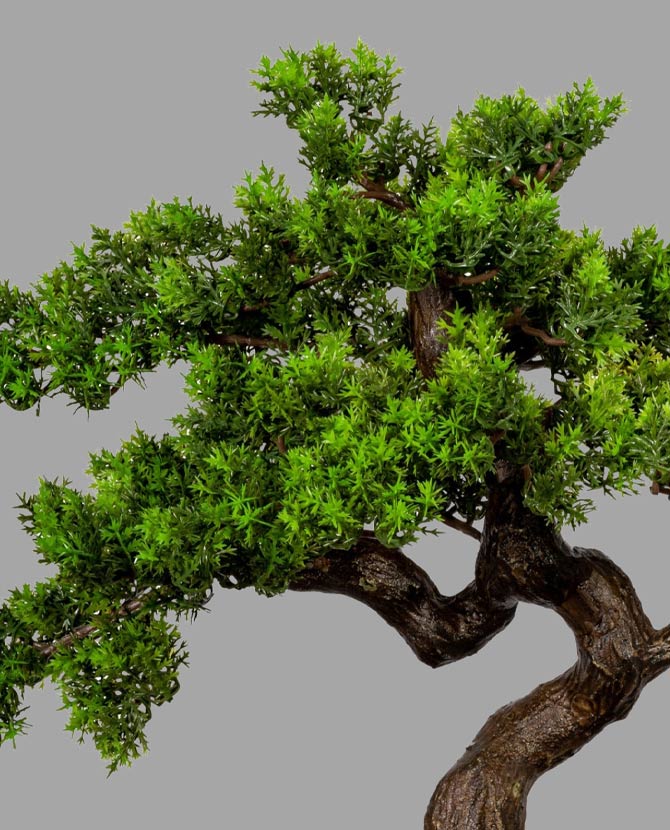 Mirtusz bonsai fa műnövény, fekete ültetőkaspóban.