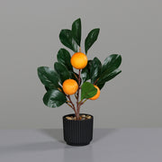Fekete műanyag kaspóba helyezett, narancsfa műnövény.