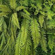 Mű páfrányokból és mesterséges mohából készült, növényfal panel.