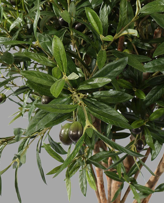 Olívafa műnövény fekete műanyag kaspóban.