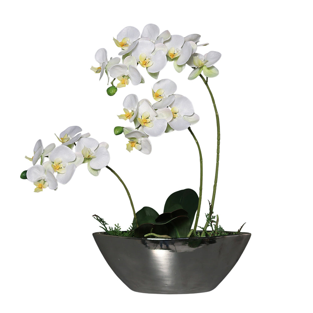 Krémszínű mű orchidea, ezüstszínű kerámia kaspóban.