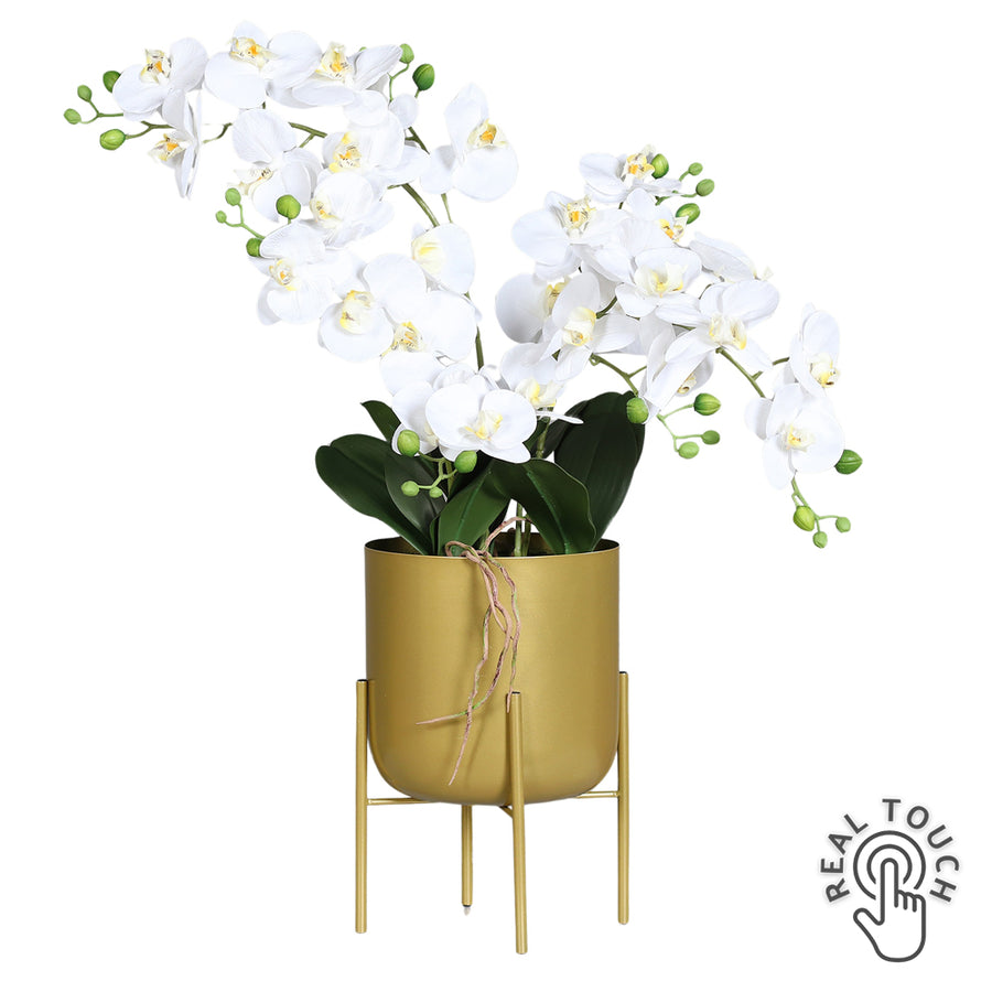 Krémszínű Real Touch mű orchidea 70 cm, aranyszínű modern fém kaspóban.