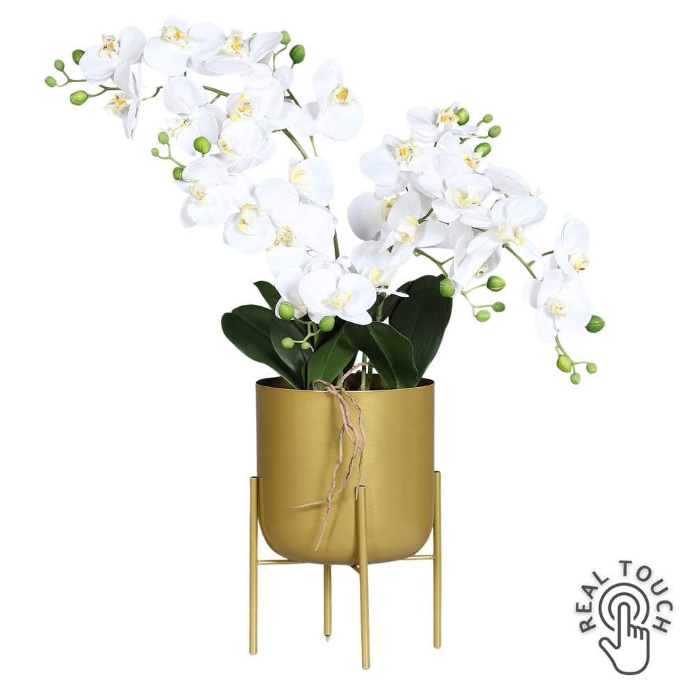 Krémszínű mű orchidea, aranyszínű fém kaspóban.