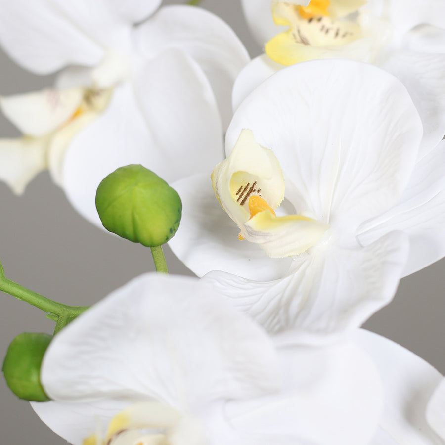 Élethű zöld bimbók és orchidea részletek aranyszínű kaspóban.