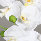 Krémszínű mű orchidea, aranyszínű fém kaspóban.