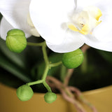 Krémszínű mű orchidea, aranyszínű fém kaspóban.
