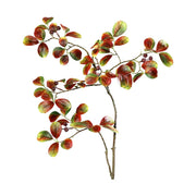 Hervadó levelű mű őszi bogyós lombhullató ág.