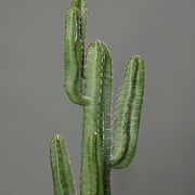 Zöld színű, mesterséges San Pedro kaktusz.