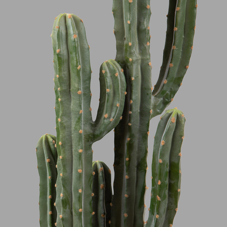 Zöld színű, mesterséges San Pedro kaktusz, fekete műanyag cserépben.