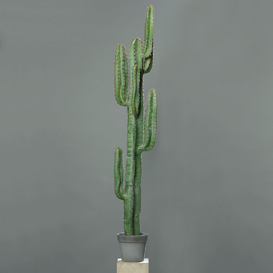 Zöld színű, mesterséges San Pedro kaktusz.