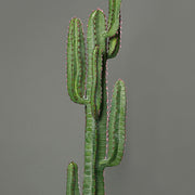 Zöld színű, mesterséges San Pedro kaktusz.