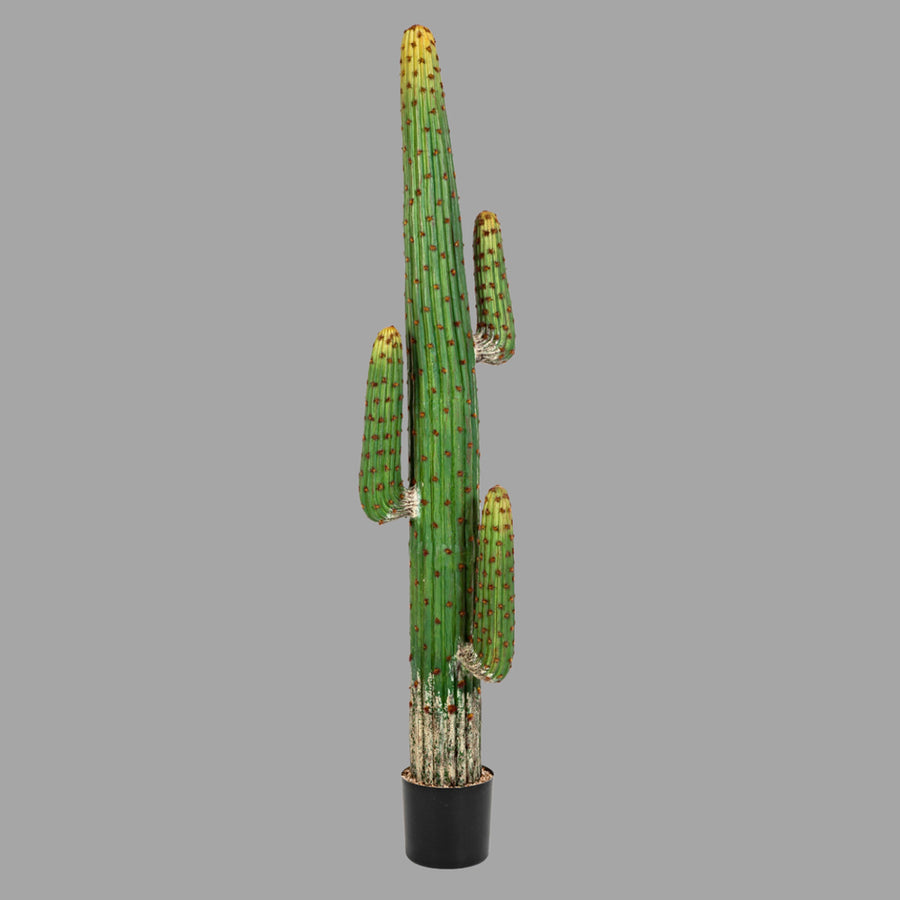 Mű oszlopkaktusz 170 cm zöld "Cactus"