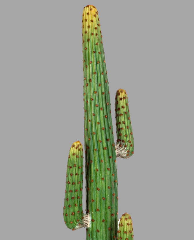 Mű oszlopkaktusz 170 cm zöld "Cactus"