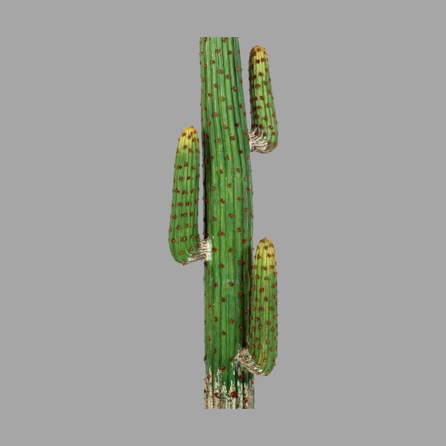 Mű oszlopkaktusz 170 cm zöld "Cactus"