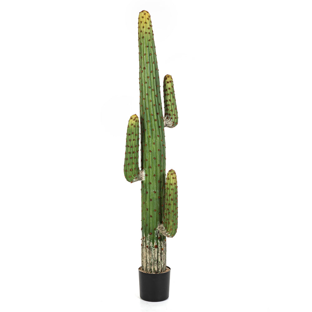 Mű oszlopkaktusz 170 cm zöld "Cactus"