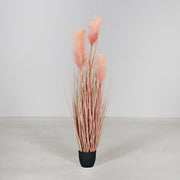 Barackszínű mű pampafű, fekete műanyag kaspóban.