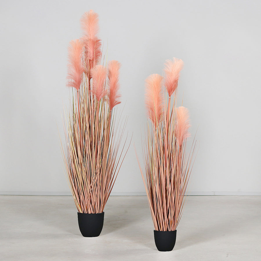 Barackszínű mű pampafű, fekete műanyag kaspóban.