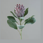 Bársonyos tapintású, lila színű, szálas mű protea virág.