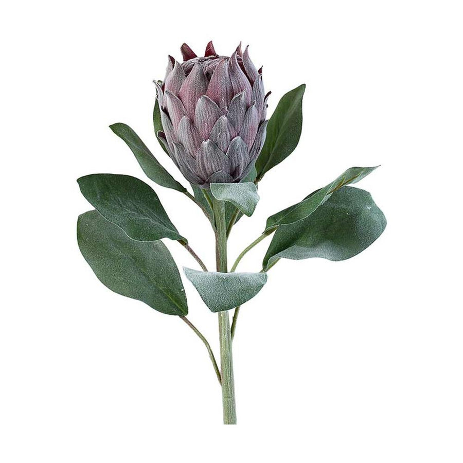 Bársonyos tapintású, lila színű, szálas mű protea virág.