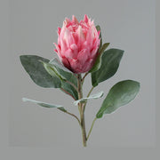 Bársonyos tapintású, pink színű szálas mű protea virág.