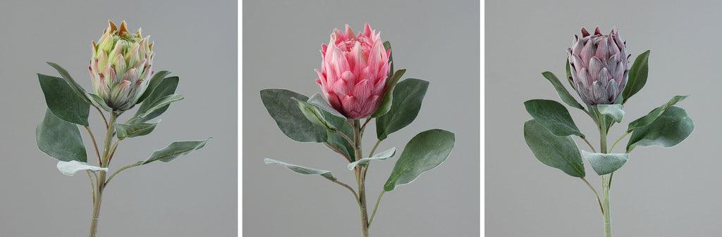 Bársonyos tapintású, pink színű szálas mű protea virág.