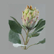 Bársonyos tapintású,, zöld színű szálas mű protea virág.