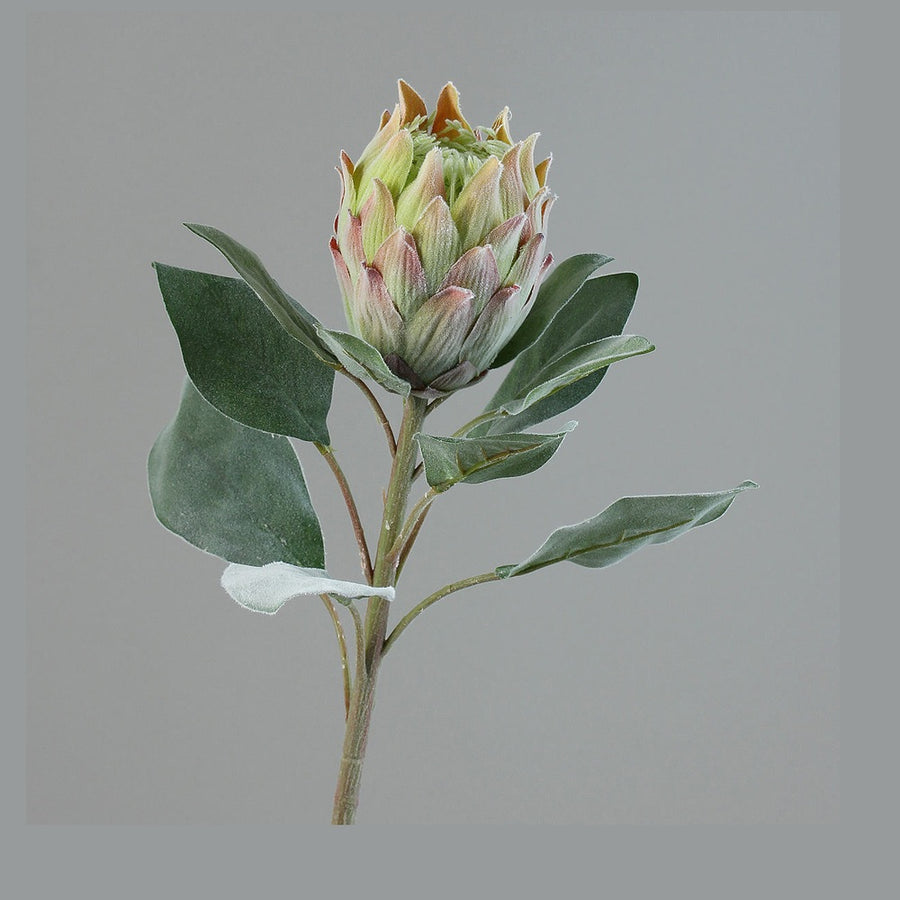 Bársonyos tapintású,, zöld színű szálas mű protea virág.