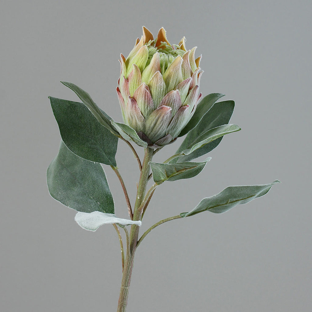 Bársonyos tapintású,, zöld színű szálas mű protea virág.