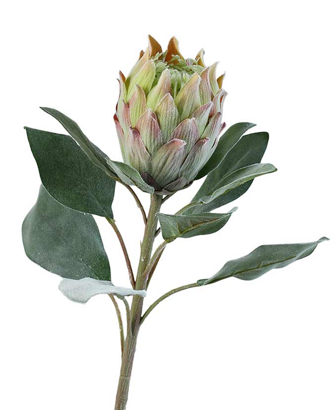 Bársonyos tapintású,, zöld színű szálas mű protea virág.