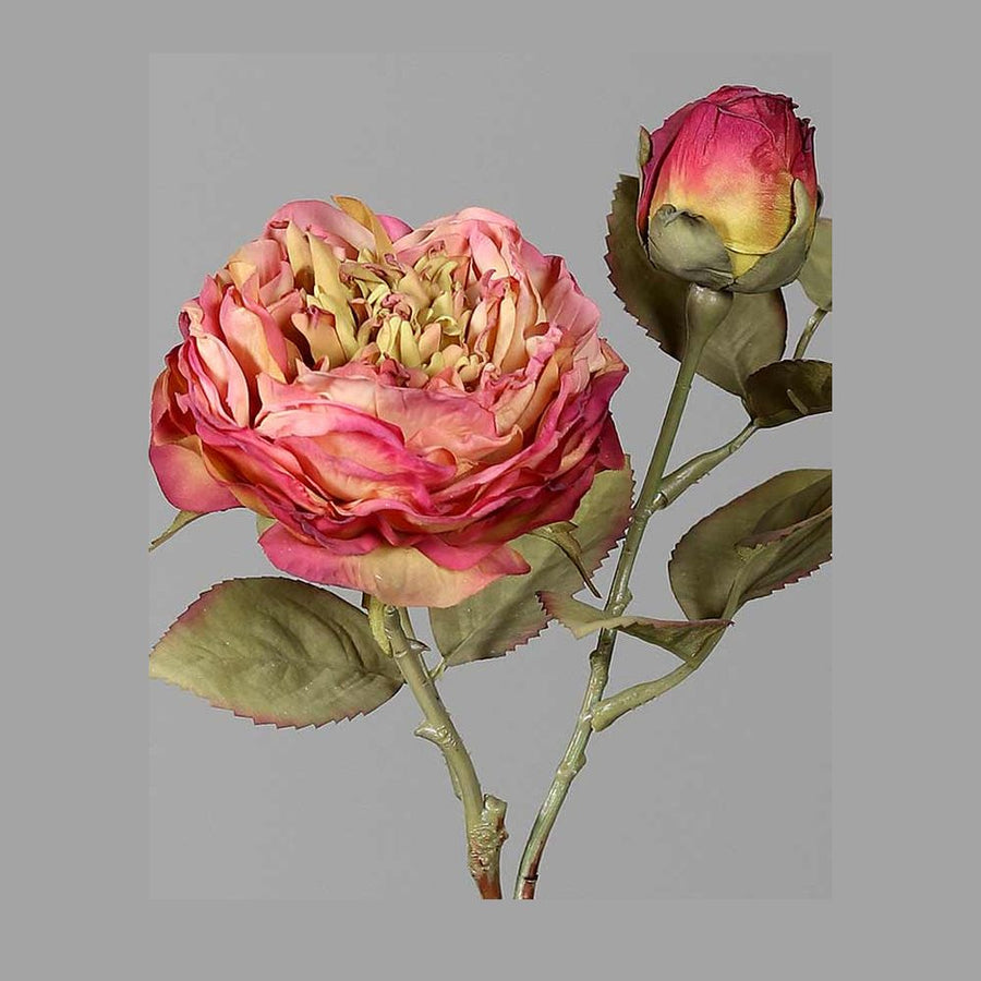 Szárított megjelenésű,, fáradt pink színű mű rózsaszál.