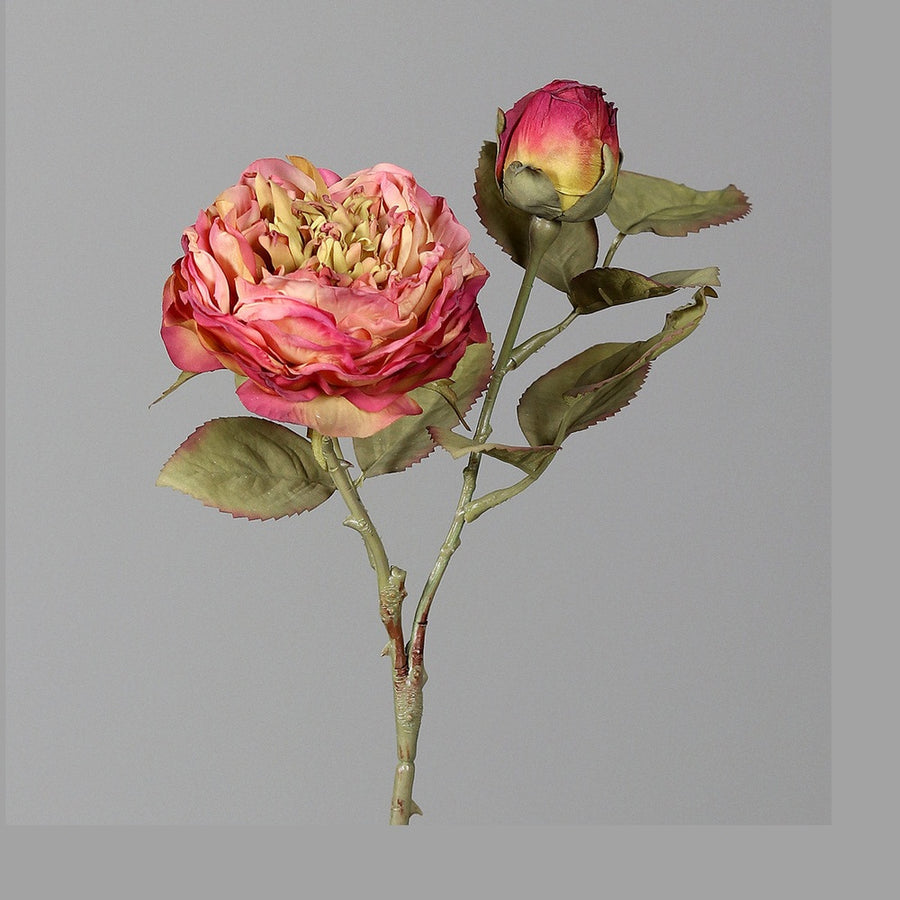 Szárított megjelenésű,, fáradt pink színű mű rózsaszál.