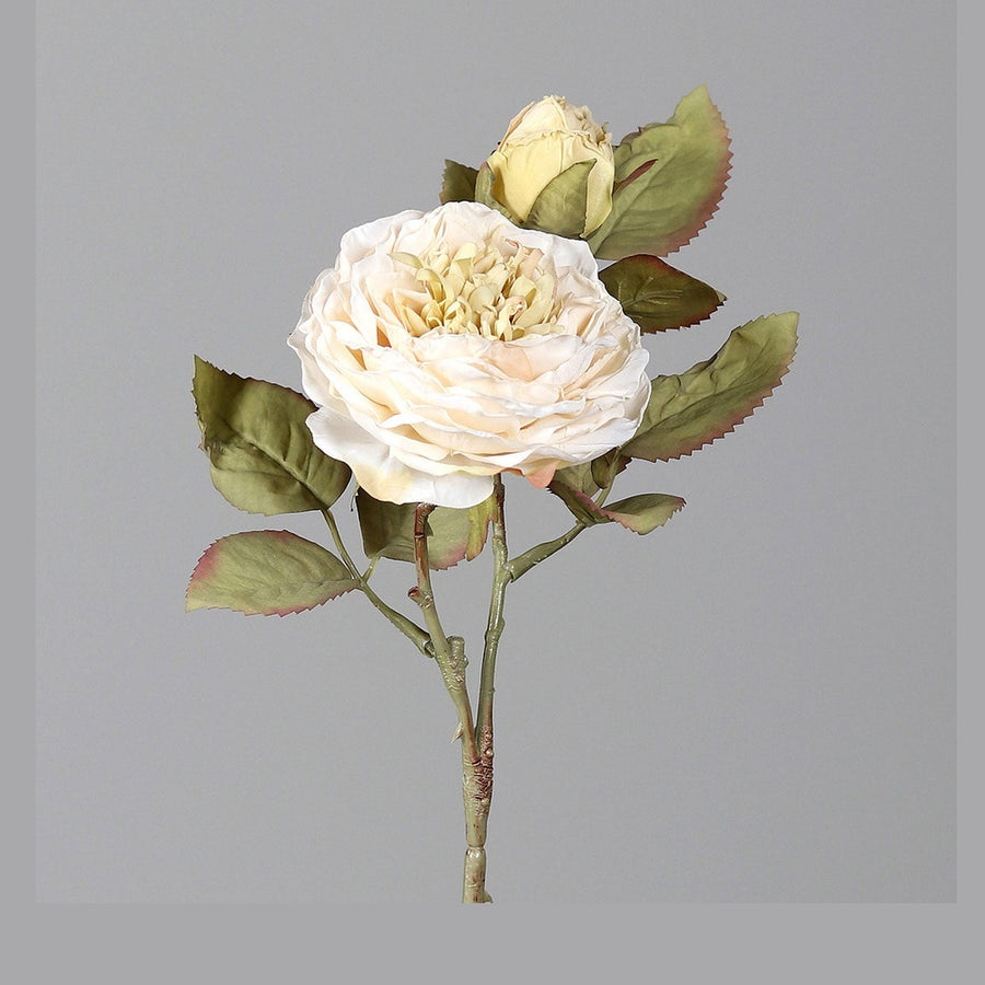 Szárított megjelenésű,, fáradt krém színű mű rózsaszál.