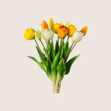 Mű Tulipán