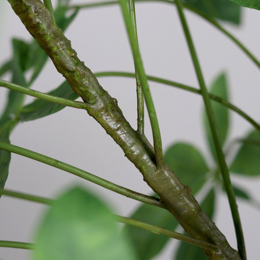 Vadkakaó fa műnövény, fekete színű műanyag cserépben.