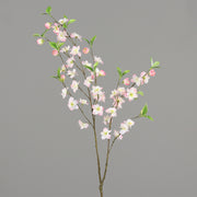 Virágzó mű cseresznyefa ág, halvány rózsaszín színű nyílt és bimbós virágokkal.