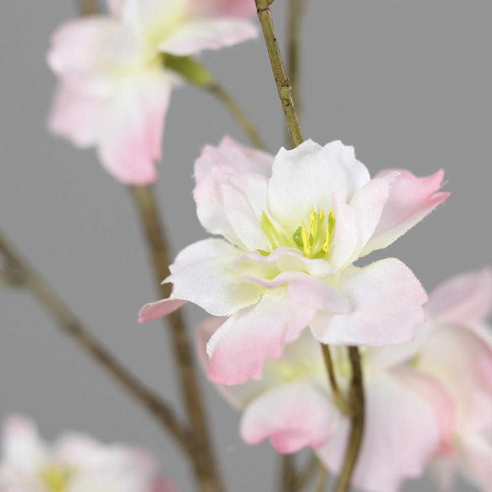 Virágzó mű cseresznyefa ág, halvány rózsaszín színű nyílt és bimbós virágokkal.