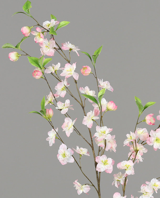 Virágzó mű cseresznyefa ág, halvány rózsaszín színű nyílt és bimbós virágokkal.