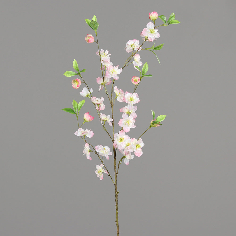 Virágzó mű cseresznyefa ág, halvány rózsaszín színű nyílt és bimbós virágokkal .