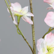 Virágzó mű cseresznyefa ág, halvány rózsaszín színű nyílt és bimbós virágokkal .