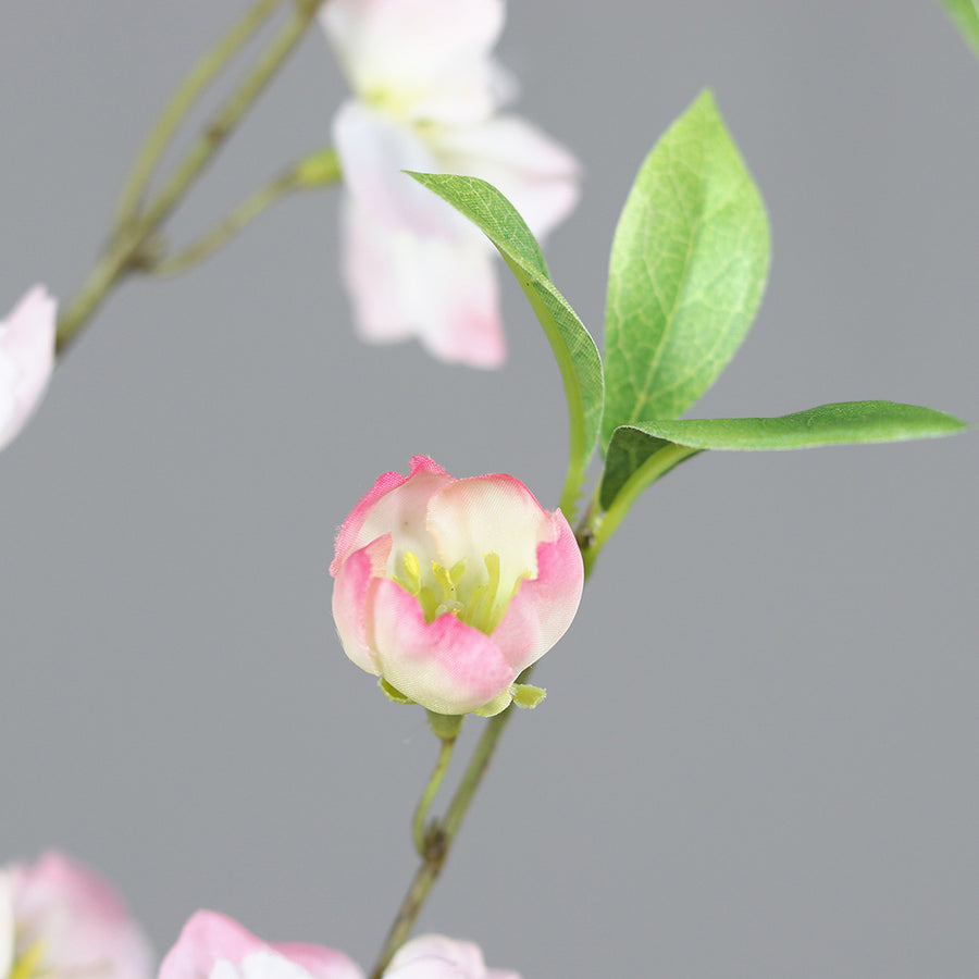 Virágzó mű cseresznyefa ág, halvány rózsaszín színű nyílt és bimbós virágokkal .