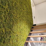 Mű rénszarvas moha falpanel dekorációs megoldásként beltéri falon, természetes zöld hatással.