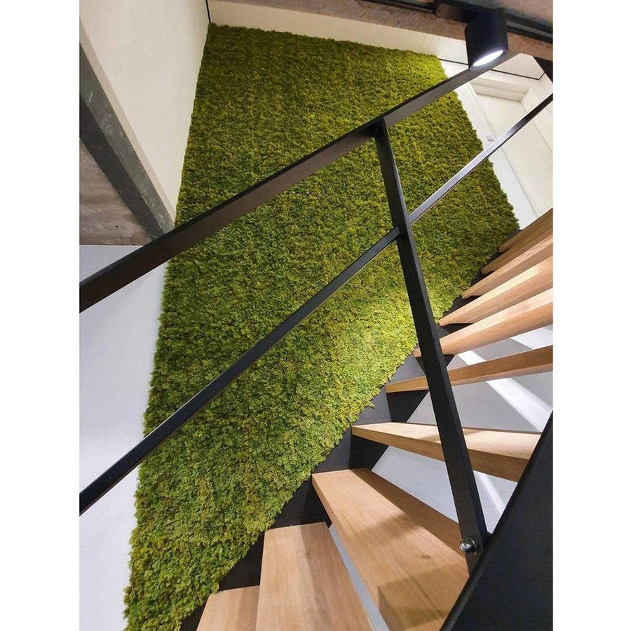 Látványos Muscus mű moha falpanel lépcsőház falán, természetes zöld felületet imitálva.