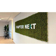 Muscus UV-álló mű rénszarvas moha panelből készült dekorációs fal, fehér “Chapter Next” felirattal.