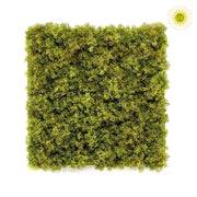 Muscus UV-álló zöld mű rénszarvas moha falpanel 50x50 cm-es méretben, sűrű és élethű textúrával.