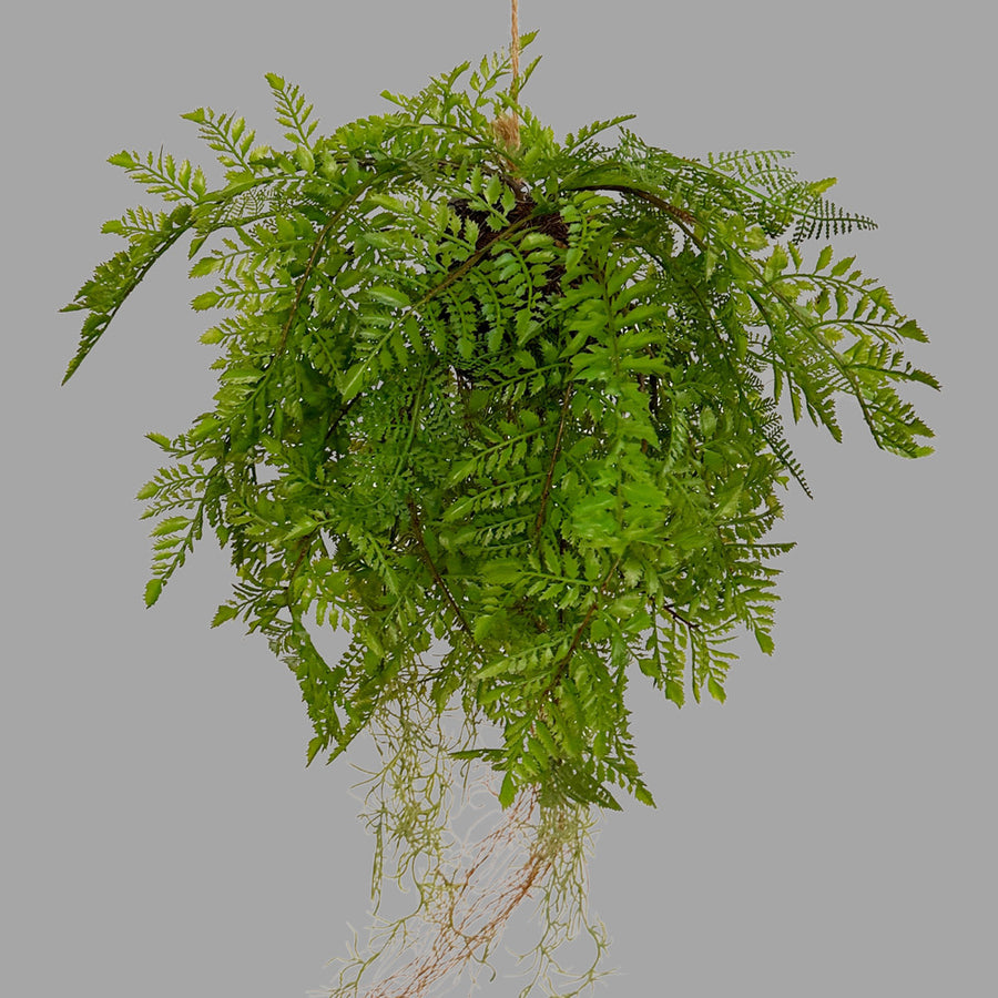 Függeszthető kialakítású, páfránylabda műnövény.